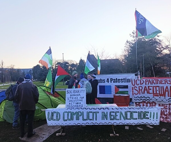 Screenshot_20260103_014938_Instagram